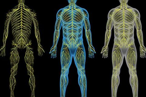 ΦΛΕΓΜΟΝΕΣ ΚΕΝΤΡΙΚΟΥ ΝΕΥΡΙΚΟΥ ΣΥΣΤΗΜΑΤΟΣ